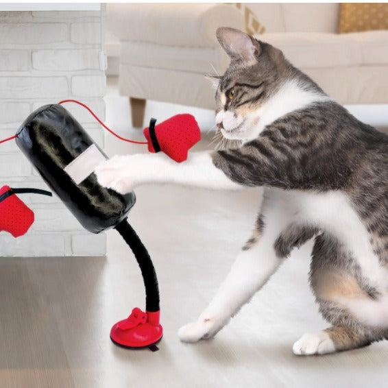 Cat Boxing Punching Bag Toy